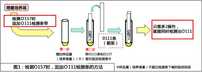 NH免疫层析系列