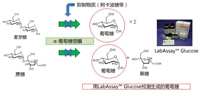 α-葡萄糖苷酶活性抑制检测试剂盒