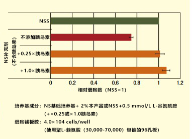 NS补充剂（不含胰岛素）                  神经细胞培养用无血清补充剂