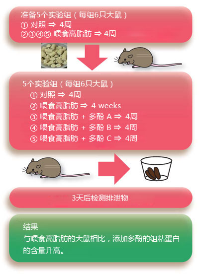 粘蛋白检测试剂盒                  Mucin Assay Kit