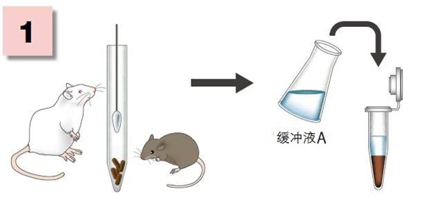 粘蛋白检测试剂盒                  Mucin Assay Kit