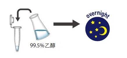 粘蛋白检测试剂盒                  Mucin Assay Kit