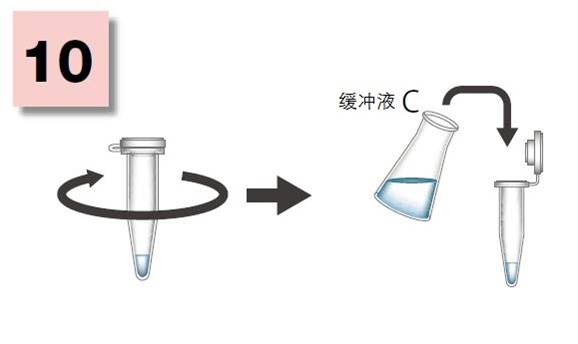 粘蛋白检测试剂盒                  Mucin Assay Kit