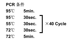 ISOGEN II RNA抽提试剂                  ISOGEN II