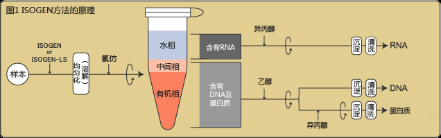 ISOGEN、ISOGEN-LS                  RNA提取试剂