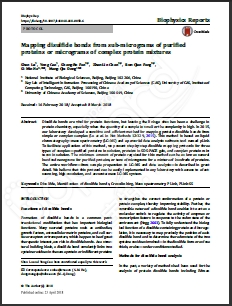 质谱级赖氨酰肽链内切酶                  Lysyl Endopeptidase