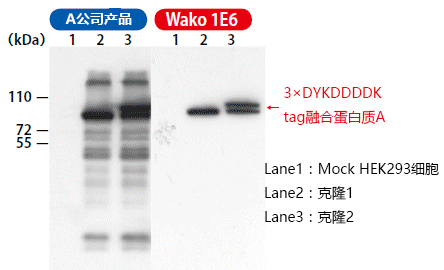 Wako亲和标签（汇总）