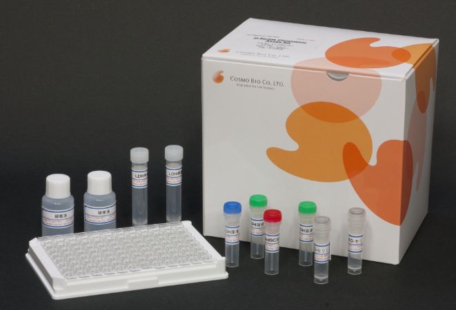 D- 丝氨酸比色法检测试剂盒                  D-Serine Colorimetric Assay Kit