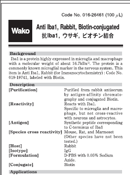 兔源Iba1抗体，有标签                  Anti Iba1, Rabbit (for Immunocytochemistry)