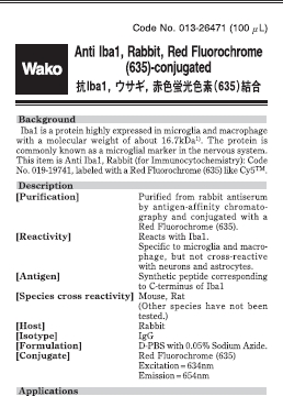 兔源Iba1抗体，有标签                  Anti Iba1, Rabbit (for Immunocytochemistry)