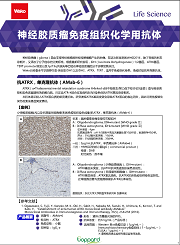 神经胶质瘤免疫组织化学用抗体