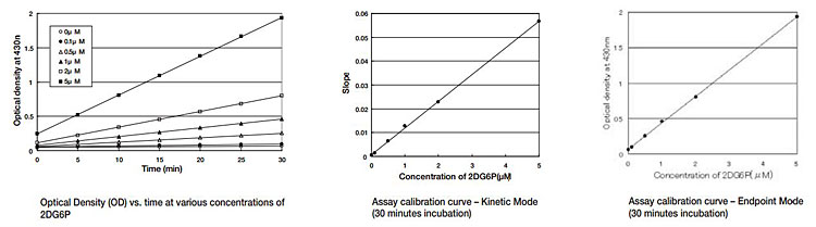 2-脱氧葡萄糖(2DG)摄入检测试剂盒                  2-Deoxyglucose (2DG) Uptake Measurement Kit