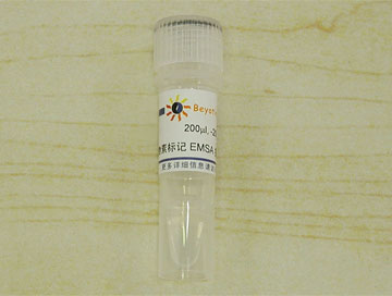 生物素标记EMSA探针－NF-κB (0.2μM)(GS056B)