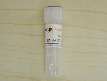 EMSA探针－CREB (1.75μM)(GS021)