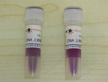 DNA上样缓冲液(6X)(D0071)