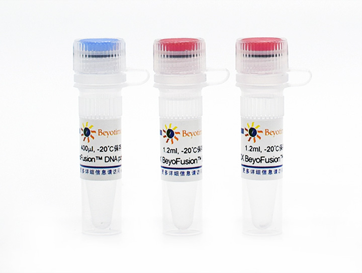 BeyoFusion™ DNA Polymerase(D7221)