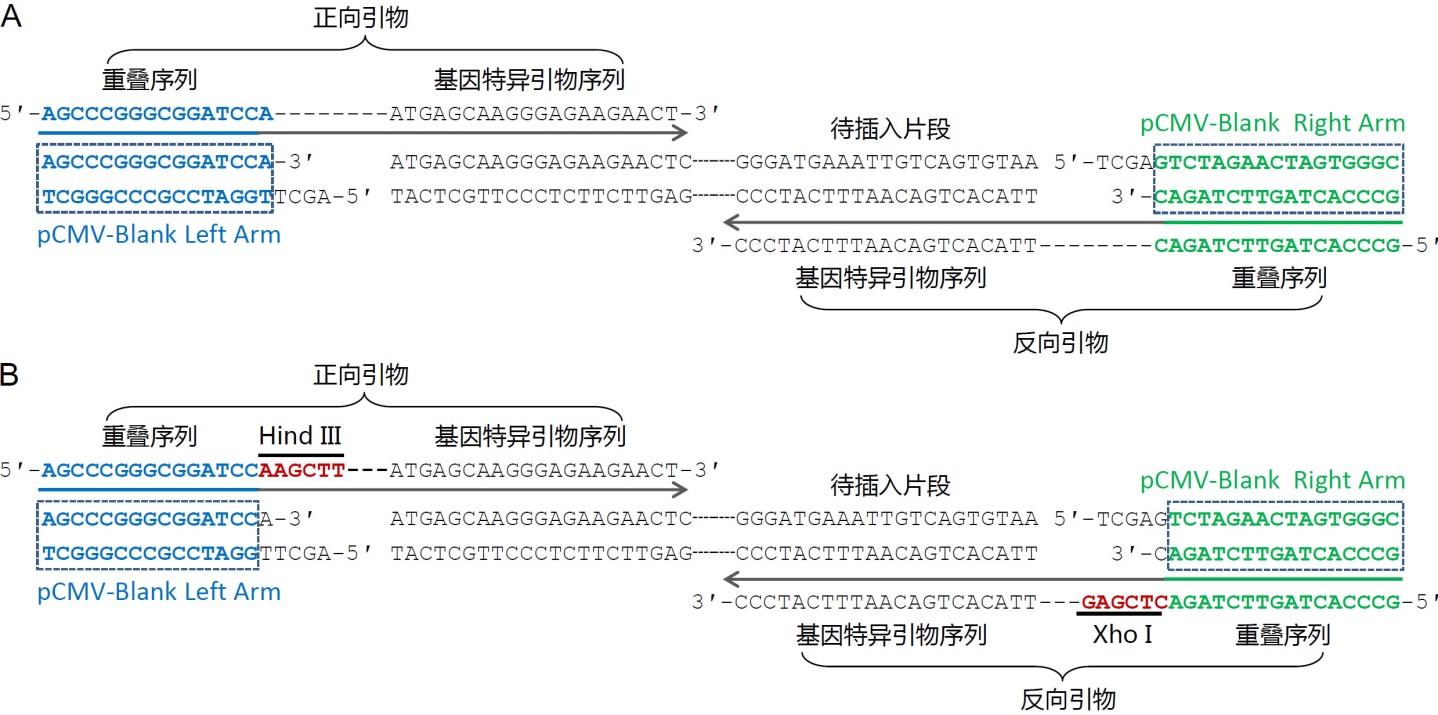 Seamless Cloning Kit (无缝克隆试剂盒, 试用装)(D7010FT)