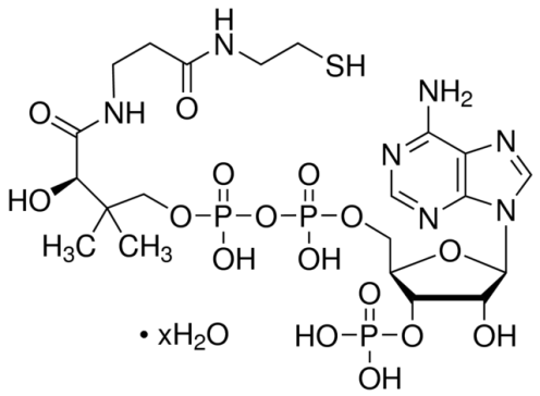 辅酶A水合物(Coenzyme A hydrate)(ST353-50mg)