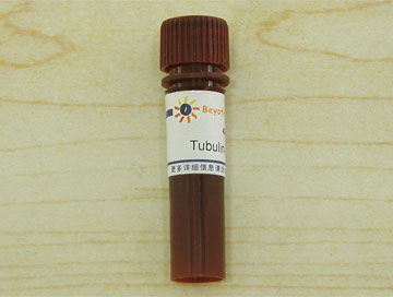 Tubulin-Tracker Red (微管红色荧光探针)(C1050)