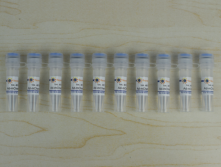 Ad-mCherry-GFP-LC3B(C3011-10ml)