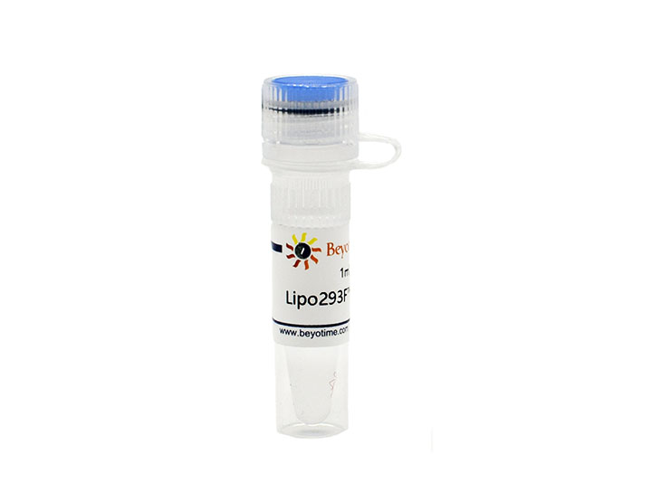 Lipo293F™转染试剂(C0518-1ml)