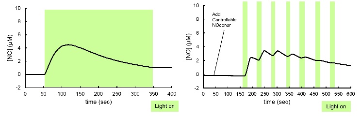 Controllable NOdonor&lt;NO-Rosa5&gt;-氧化应激-wako富士胶片和光