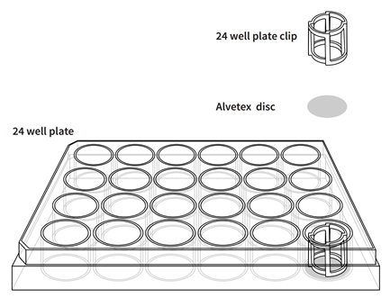 Alvetex&trade; 3D细胞培养系统-细胞培养板-wako富士胶片和光