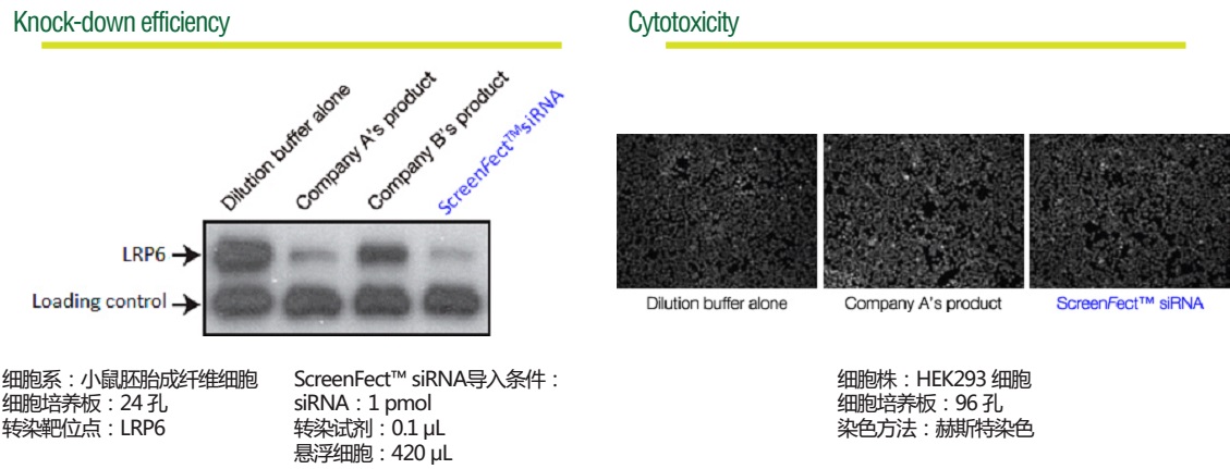 295-75003-ScreenFect&trade; siRNA   siRNA转染试剂-生物试剂-wako富士胶片和光