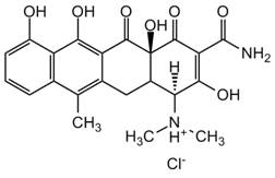 小分子与天然产品-AdipoGen小分子与天然产品系列-小分子与天然产物-wako富士胶片和光