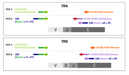 SMARTer Human TCR a/b Profiling Kit v2