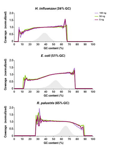 ThruPLEX&reg; DNA-Seq HV & ThruPLEX&reg; DNA-Seq HV PLUS Kit