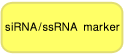 siRNA Ladder Marker