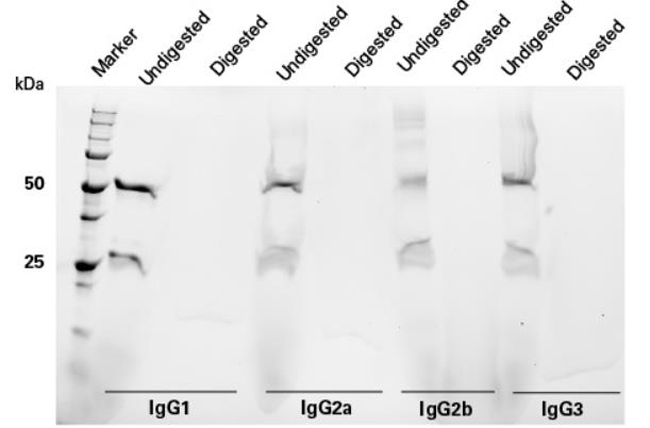 Capturem&trade; Pepsin