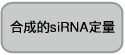 siRNA Ladder Marker