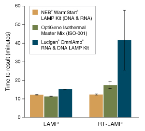 WarmStart® LAMP Kit (DNA & RNA) | NEB酶试剂 New England Biolabs