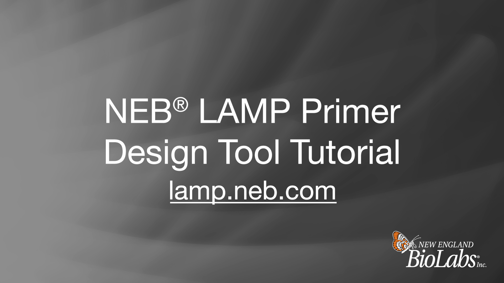 LAMP Fluorescent Dye | NEB酶试剂 New England Biolabs