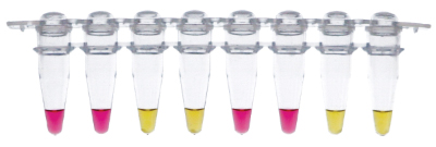 WarmStart® Colorimetric LAMP 2X Master Mix with UDG | NEB酶试剂 New England Biolabs