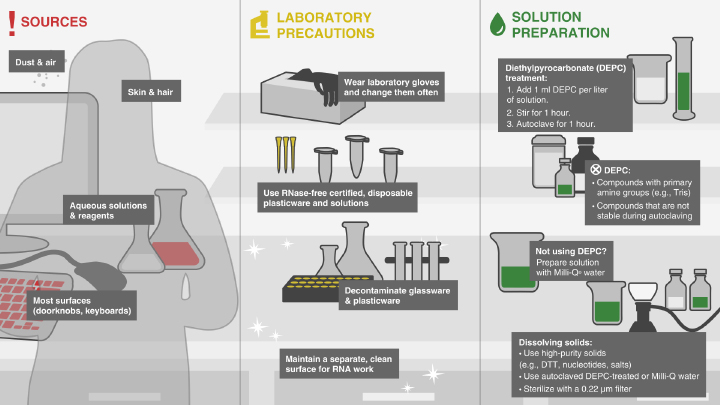 Luna® Universal One-Step RT-qPCR Kit |