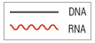 Salt-T4® DNA Ligase |