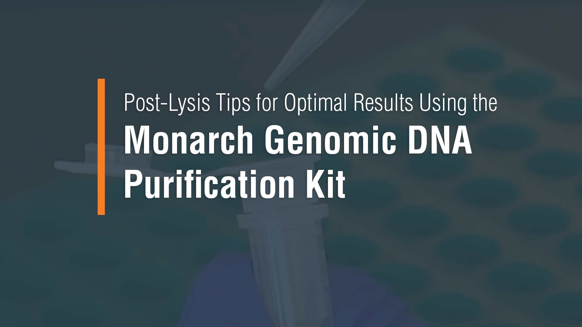 Monarch® gDNA Elution Buffer |