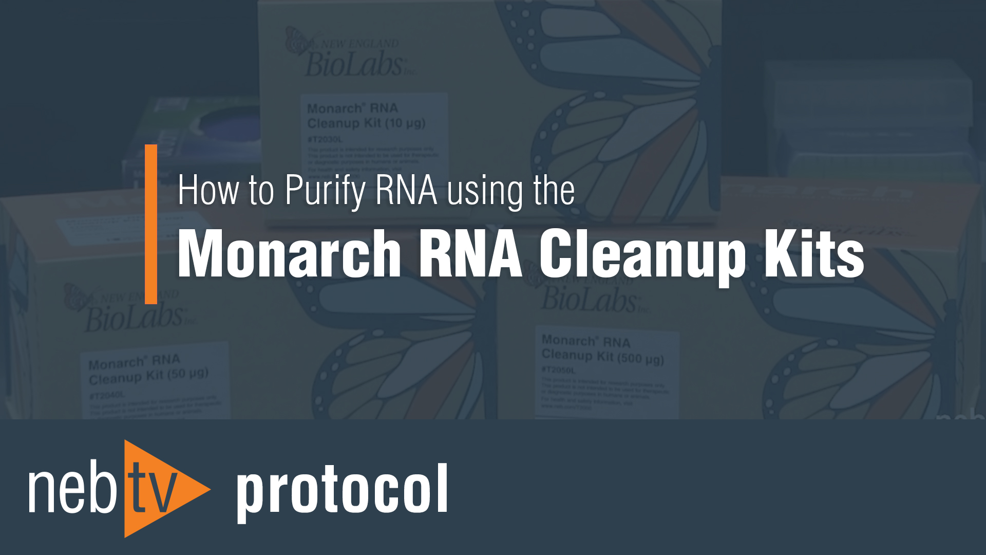 Monarch® RNA Cleanup Kit (500 µg) |