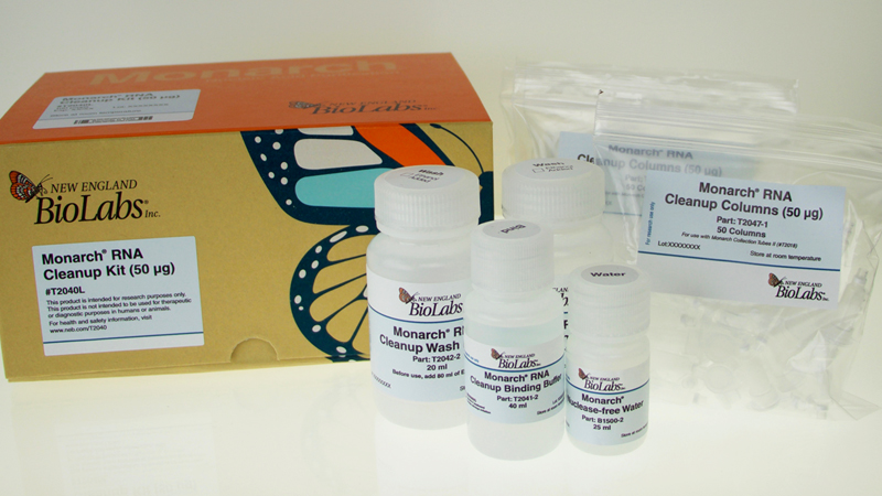 Monarch®  RNA Cleanup Kit (50 µg) |