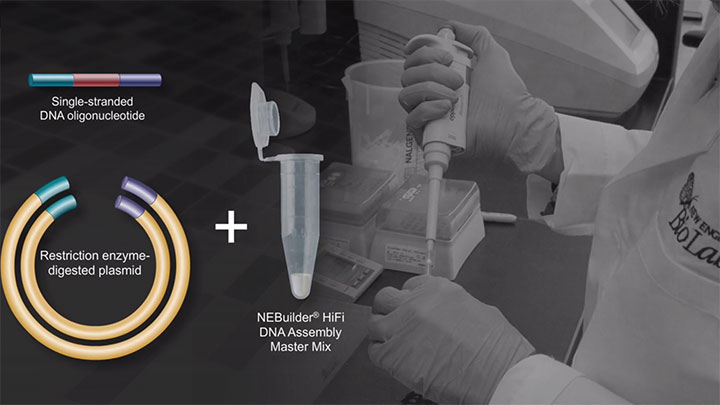 uilder® HiFi DNA Assembly Cloning Kit |