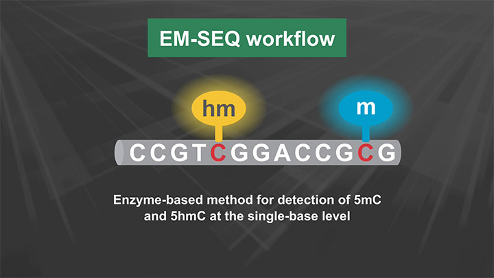 Next® Enzymatic Methyl-seq Kit |