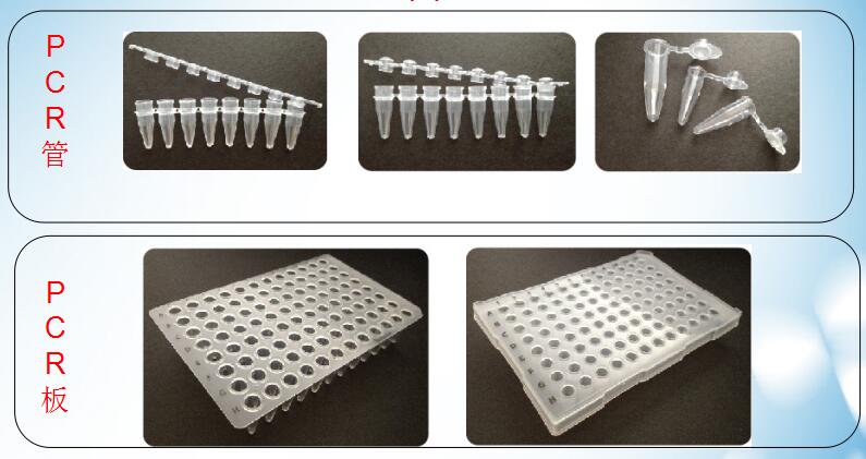 PCR管,荧光定量PCR耗材L—2081