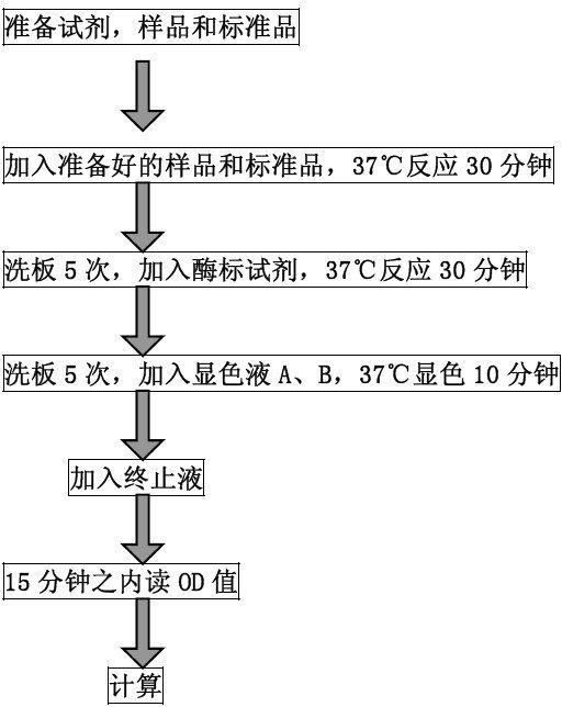 微囊藻毒素LR(MC-LR)酶联免疫分析试剂盒BS-4964