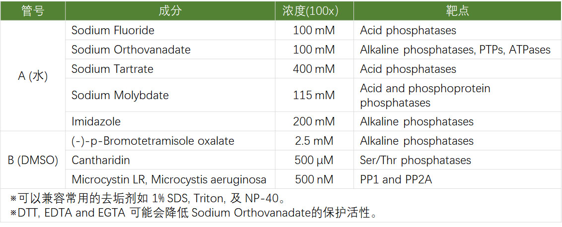 磷酸酶抑制剂混合物组合 (2 Tubes, 100×)